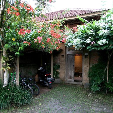 Artist Eco Villa In Ubud  Ngoại thất bức ảnh